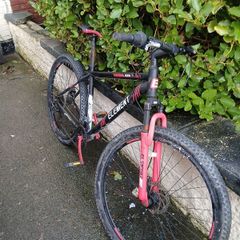 mountain bike