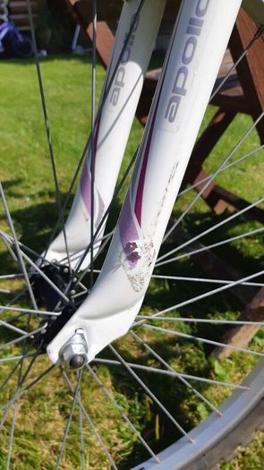 Apollo Twilight 26 Bike
