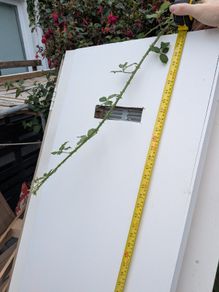 Multiple indoor doors