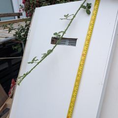 Multiple indoor doors
