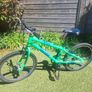 20 inch Squish bike Image 2