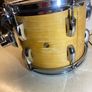 10" Pearl "Vision" birch tom for sale Image 5