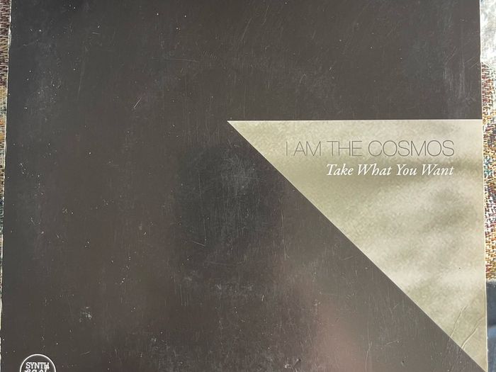 I am the cosmos Take what you want picture sleeve vinyl record single in vg+ condition
