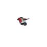 Collectable RSPB Pins Image 2