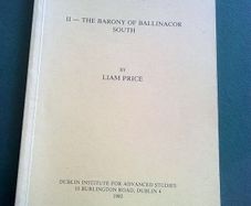 The place-names of Co. Wicklow Barony of Ballinacor South Ireland Irish History