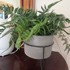 artificial indoor plant