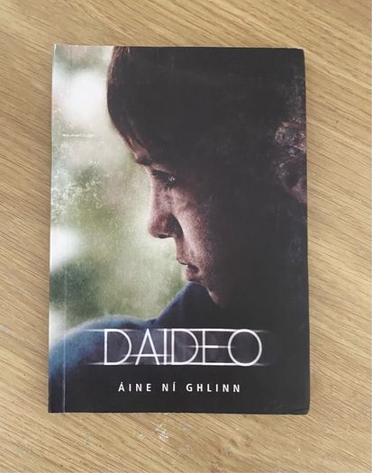 Secondary School Irish books