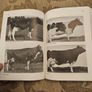 The International Friesian Strain Comparison Trial. A World Perspective.  By H.a. Jasiorowski. M. Stolzman. Z. Reklewski. First Edition Paperback In Good Condition. Image 10