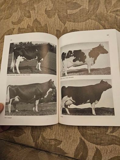 The International Friesian Strain Comparison Trial. A World Perspective.  By H.a. Jasiorowski. M. Stolzman. Z. Reklewski. First Edition Paperback In Good Condition.