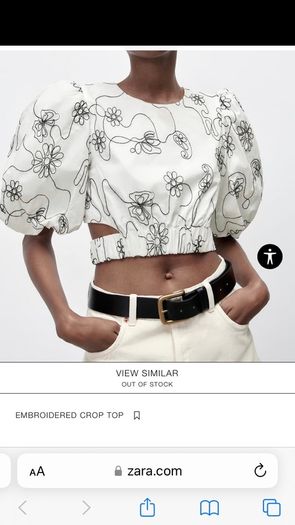 Embroidered Crop Top - Zara NEW