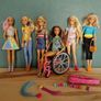 Barbies and Equistriene ponies & accessories Image 2