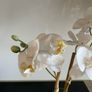 Fake orchid flower Image 2