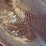 Large Vintage Fish Glass Serving Platter Plate Tray, Pasabahce Image 10