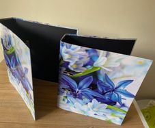 Lever Arch Files x 4 - New - Blue & Purple