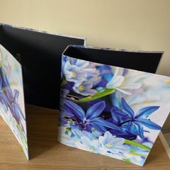 Lever Arch Files x 4 - New - Blue & Purple