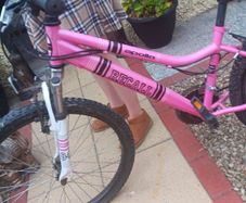 girls bike