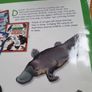 How to Draw Australian Wildlife In Very Good Condition From Pet Smoke Free Home Lots Of Books Listed For 1 2 3 Euro Image 2