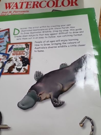 How to Draw Australian Wildlife In Very Good Condition From Pet Smoke Free Home Lots Of Books Listed For 1 2 3 Euro