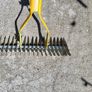 Rake Image 3