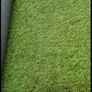 High Quality Artificial grass 45mm 120X530 cm Image 3