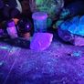 Fluorite fluorescent Image 9