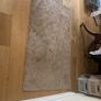 rug Image 3