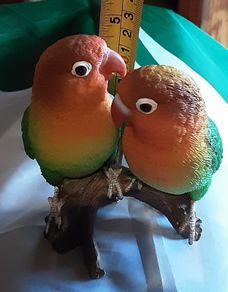 love birds