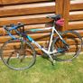 Dawes Giro 300 Image 2