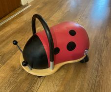 wheelybug ladybird