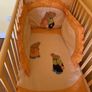 cot Image 4