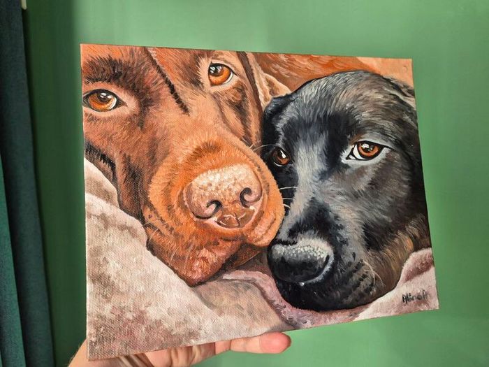 Black & Chocolate Labrador - oil painting