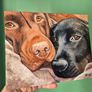 Black & Chocolate Labrador - oil painting Image 4