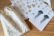 Jo Collier Cards