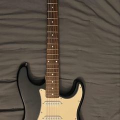 Stratocaster single coils pickups electric guitar