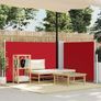 Retractable Side Awning Red 120x600 cm Image 3
