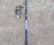 Fishing rod
