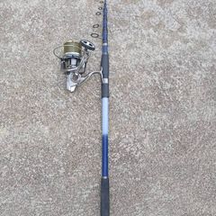 Fishing rod