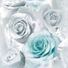 andreapower123