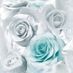 andreapower123