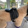 Crafty ponies Image 7