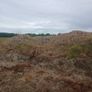 Sub Soil - Fill Image 2