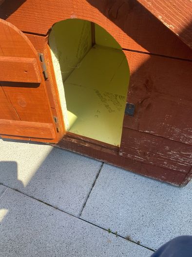 dog kennel