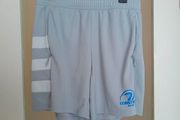 Grey Leinster Rugby performance training shorts