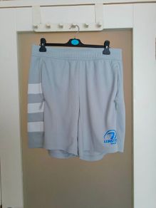 Grey Leinster Rugby performance training shorts