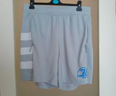 Grey Leinster Rugby performance training shorts