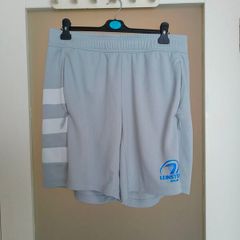 Grey Leinster Rugby performance training shorts