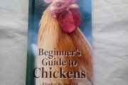 Book: Beginners Guide to Chickens