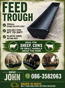 Feed trough