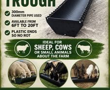 Feed trough