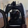 Transparent Cat Carrier Image 3